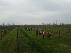 Tra i vigneti