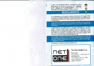 Regolamento